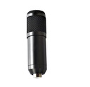 Generic Microphone Set for Podcasting / USB / Black