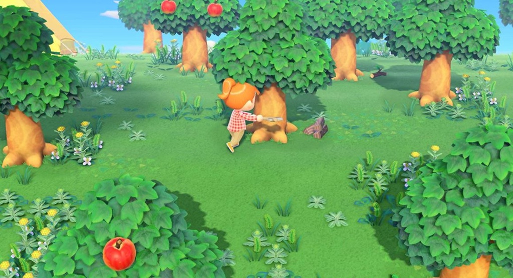 Nintendo Animal Crossing (New Horizon) for Switch