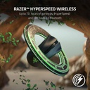 Razer DeathAdder V2 Pro - Ergonomic Gaming Mouse / USB / RGB / Black