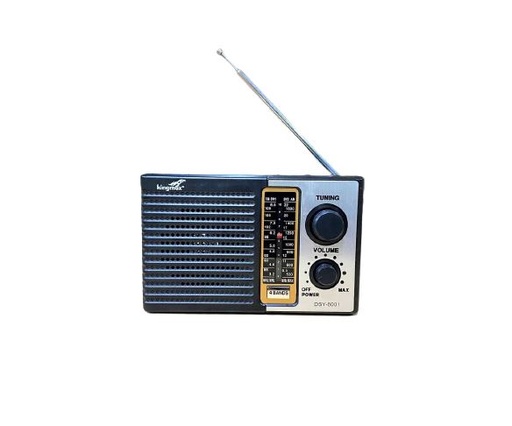 [KMX-MSC-ELC-DSY8001-BK-321] Kingmox DSY-8001 FM/AM Radio - Black