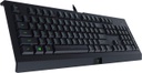 Razer Cynosa Lite Teclado Gaming - Membrana, Inglés, Negro